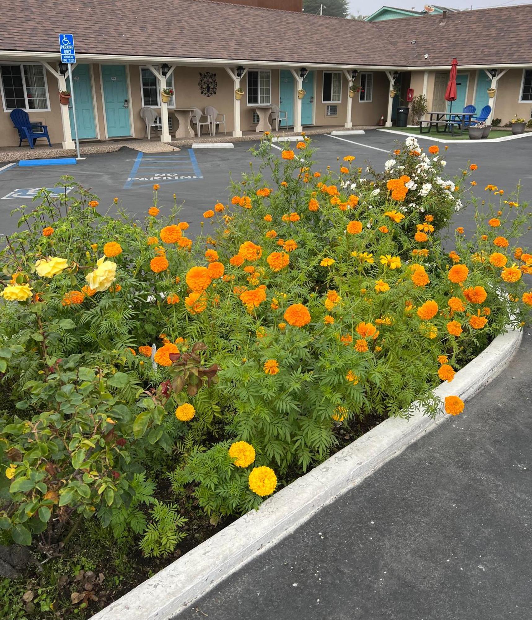 Central Coast Inn Cayucos Exterior foto